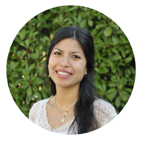 Bjork Llaguno Alvarez